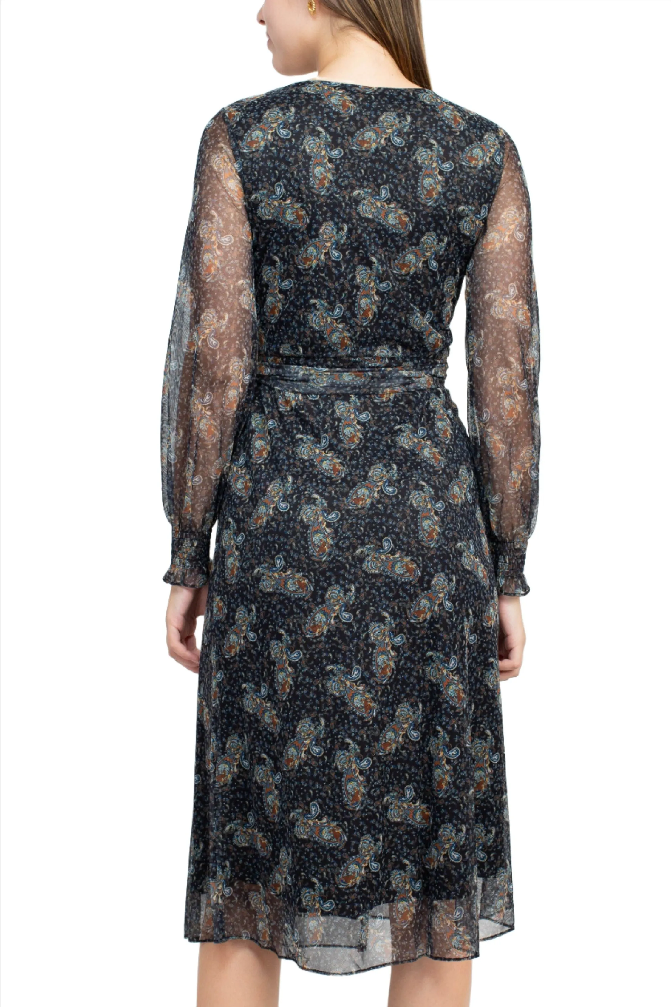 Sage Collective V-Neck Long Sleeve Tie Waist Paisley Print Power Mesh Dress